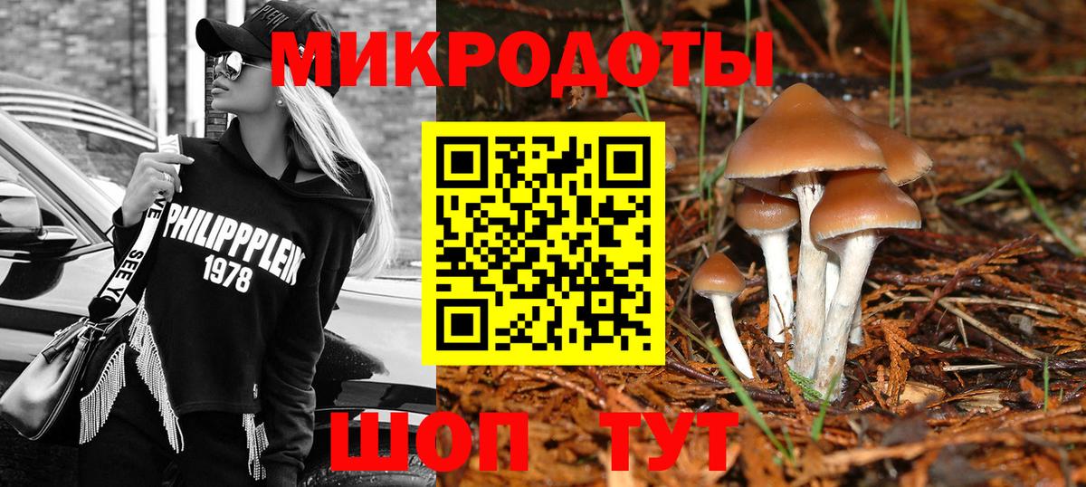 Благовещенск  Галлюциногенные грибы GOLDEN TEACHER  Вход с VPN 